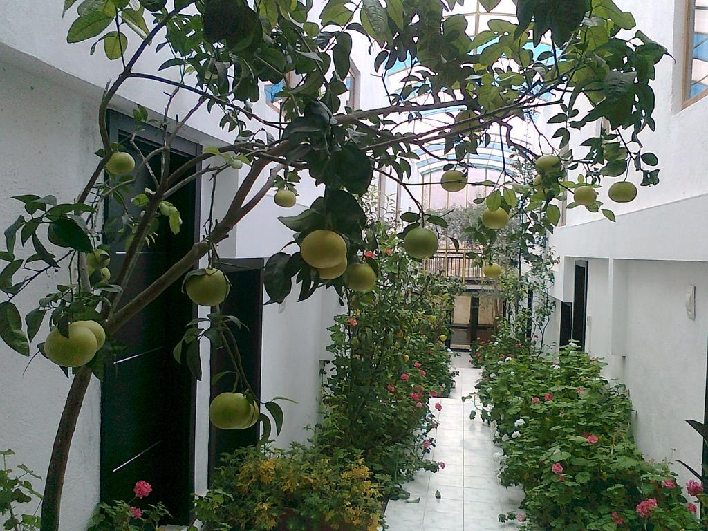 Family Hotel Belvedere Dulgopol Exterior photo
