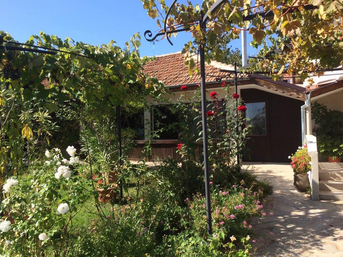 Family Hotel Belvedere Dulgopol Exterior photo